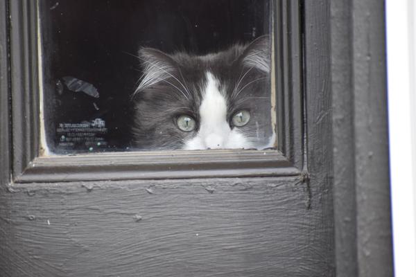 Customer photo 4 of 6. Click to open full size image.