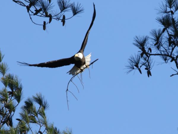 Customer photo 1 of 2. Click to open full size image.