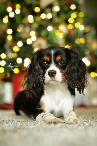 Customer photo 2 of 6. Click to open full size image.