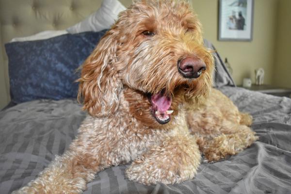 Customer photo 5 of 6. Click to open full size image.