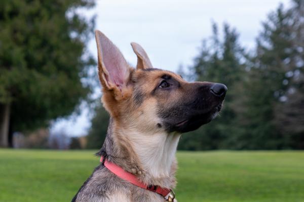 Customer photo 2 of 3. Click to open full size image.