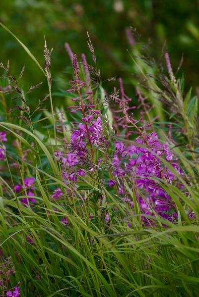 Customer photo 1 of 6. Click to open full size image.