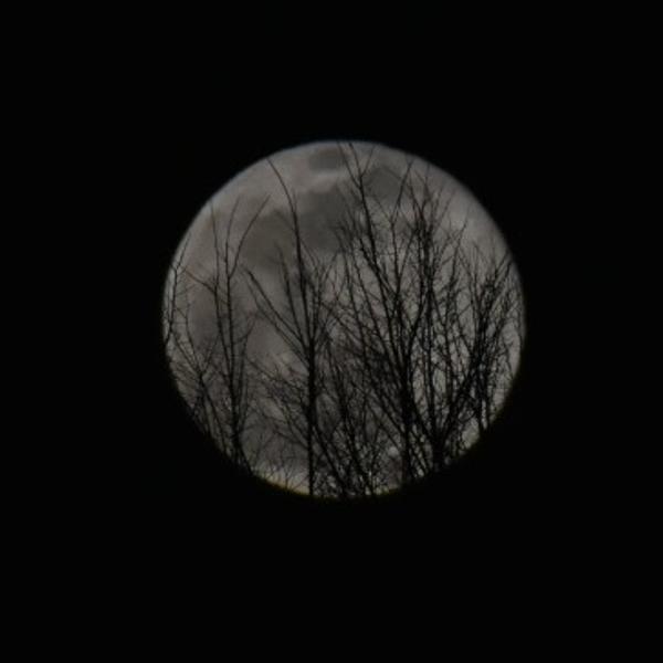 Customer photo 5 of 6. Click to open full size image.