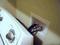 User submitted photo