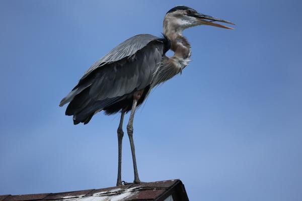 Customer photo 2 of 4. Click to open full size image.