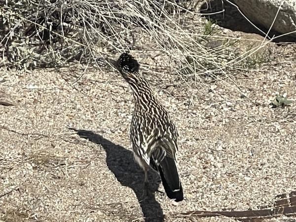 Customer photo 1 of 4. Click to open full size image.