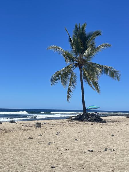 Customer photo 1 of 1. Click to open full size image.