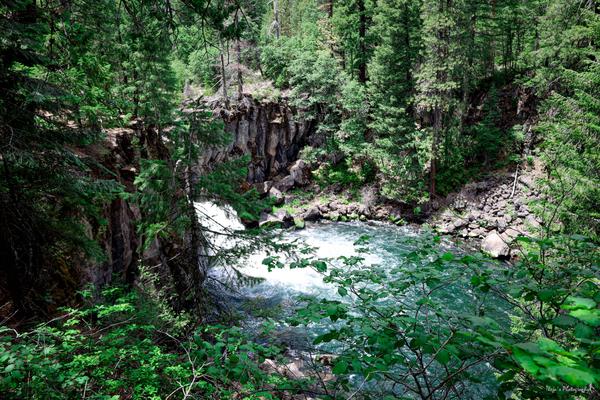 Customer photo 2 of 5. Click to open full size image.