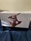 User submitted photo