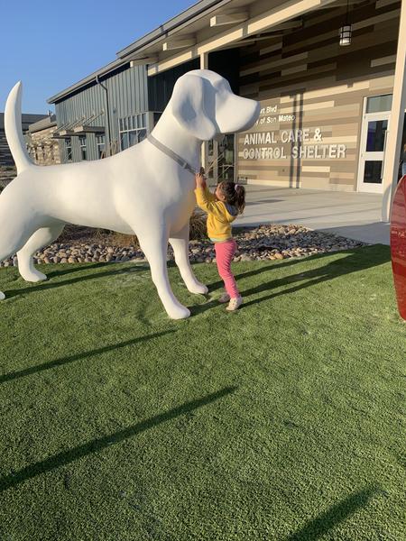 Customer photo 4 of 6. Click to open full size image.