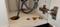 User submitted photo