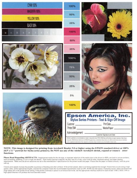 Customer photo 4 of 6. Click to open full size image.