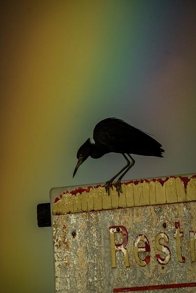 Customer photo 2 of 5. Click to open full size image.