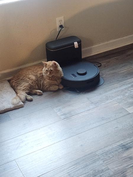 Customer photo 1 of 1. Click to open full size image.