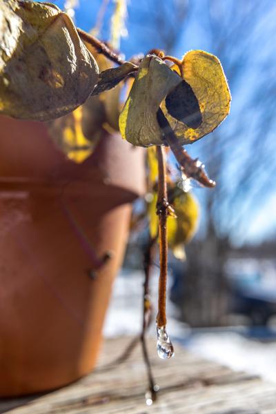 Customer photo 1 of 2. Click to open full size image.