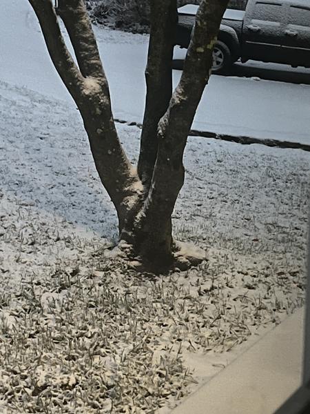 Customer photo 5 of 6. Click to open full size image.