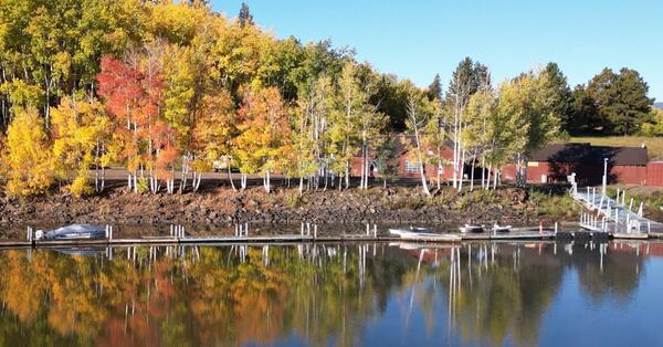 Customer photo 2 of 6. Click to open full size image.