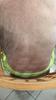 User submitted photo