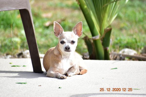 Customer photo 5 of 6. Click to open full size image.