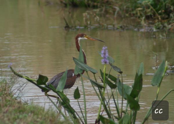 Customer photo 1 of 6. Click to open full size image.