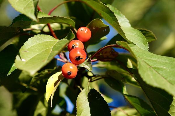 Customer photo 2 of 3. Click to open full size image.