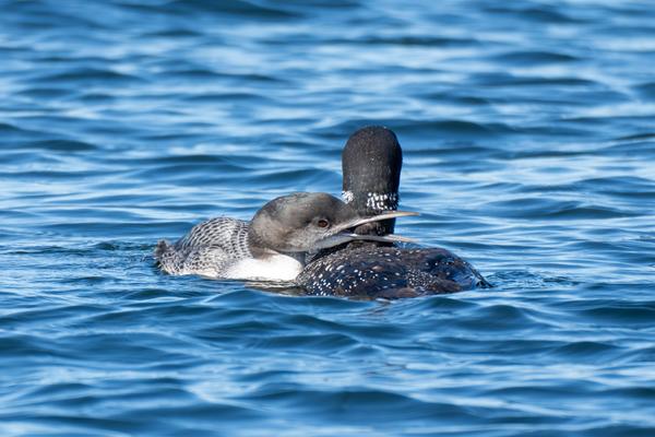 Customer photo 1 of 5. Click to open full size image.