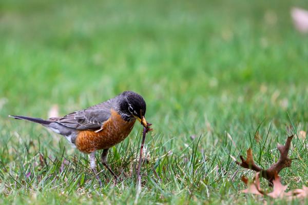 Customer photo 1 of 2. Click to open full size image.