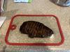 User submitted photo