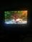 User submitted photo