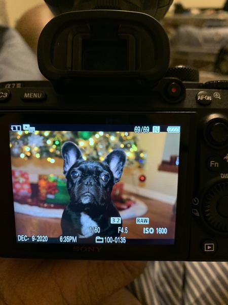 Customer photo 1 of 6. Click to open full size image.