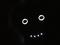 User submitted photo