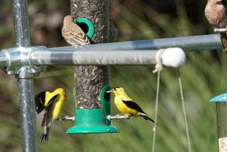 Customer photo 1 of 3. Click to open full size image.