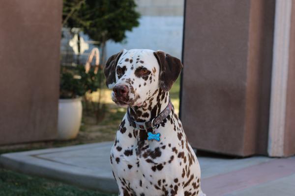 Customer photo 1 of 5. Click to open full size image.