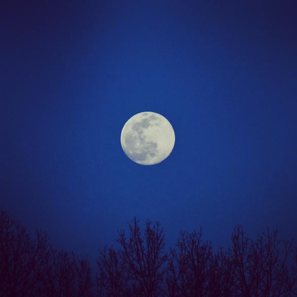 Customer photo 3 of 6. Click to open full size image.