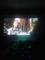 User submitted photo