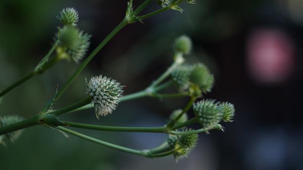 Customer photo 2 of 3. Click to open full size image.