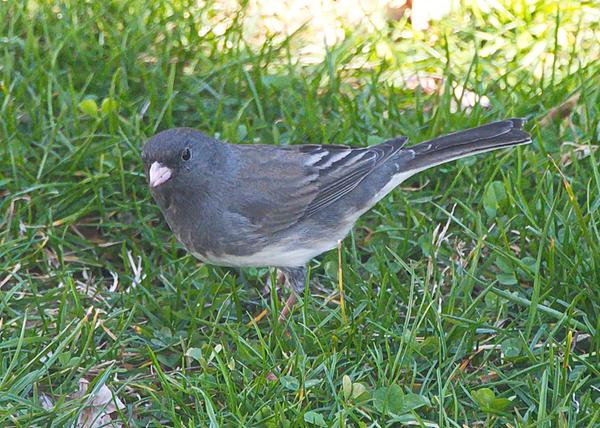 Customer photo 1 of 4. Click to open full size image.