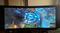 User submitted photo