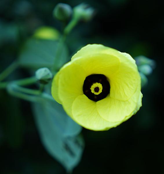 Customer photo 2 of 2. Click to open full size image.