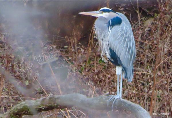 Customer photo 1 of 4. Click to open full size image.