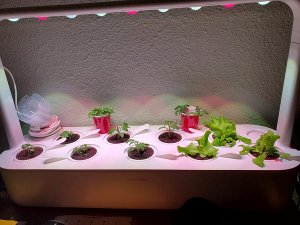 Customer photo 1 of 3. Click to open full size image.