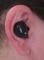 User submitted photo