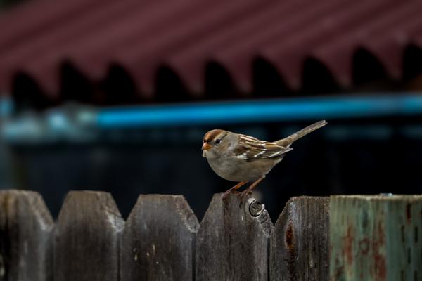 Customer photo 5 of 6. Click to open full size image.