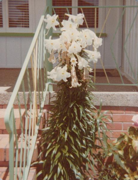 Customer photo 3 of 6. Click to open full size image.