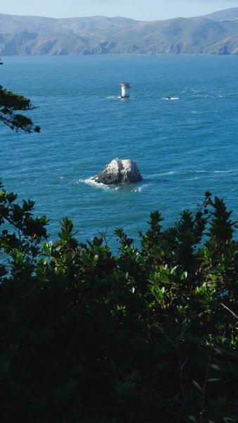 Customer photo 6 of 6. Click to open full size image.