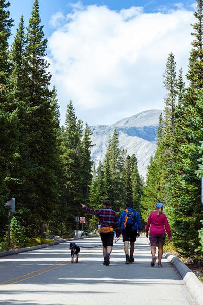 Customer photo 5 of 6. Click to open full size image.