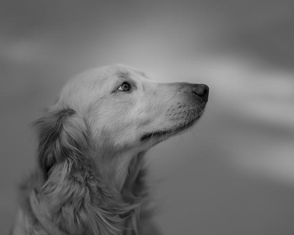 Customer photo 2 of 5. Click to open full size image.