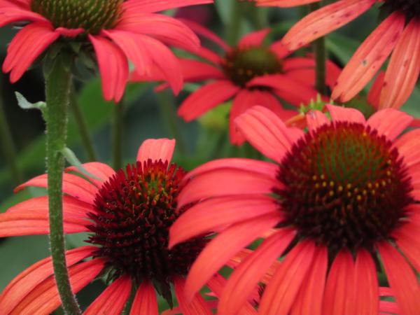 Customer photo 4 of 6. Click to open full size image.