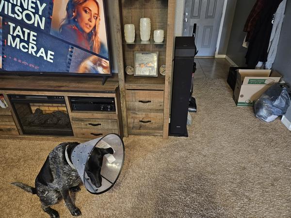 Customer photo 2 of 3. Click to open full size image.