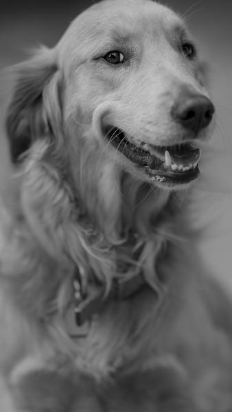 Customer photo 3 of 5. Click to open full size image.